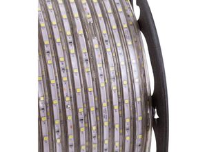 8435402503897 - Greenice - Streifen 60 LEDs M 480W 24000Lm SMD3528 220VAC IP65 x100M 40000H [GR2203528 60 100MB]- Blau - Blau