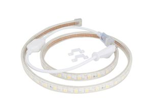 8435402522027 - Streifen 60 LEDs M SMD3528 220VAC x22M 40000H [GR-3528220VAC22M-0005]-Grün - Grün