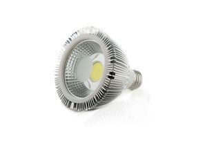 8435402547969 - Glühbirne led E27 10W 842Lm 3000ºK Par 30 40000H [JN-P10WCOB-WW] - Warmweiß