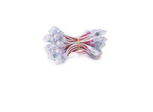 8435402551409 - Greenice - Pixel led 01W 2Lm 9Mm 12V Epistar (Kette 50 Stücke) Lila 50000H [DE-PIX-9-A]