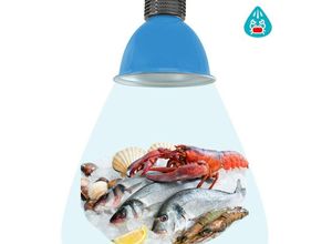 8435427104666 - Barcelona Led - LED-Haube 30W speziell für Fisch und Meeresfrüchte Farbe Blau - Blau