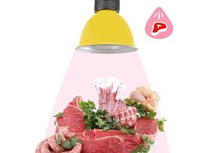 8435427104734 - Campana led 30W speciale per macellerie - Giallo