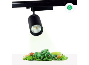 8435427105212 - Barcelona Led - 30W dreiphasiger LED-Strahler speziell für Gemüseanbau Farbe Schwarz - Schwarz