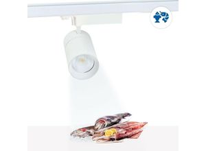 8435427105236 - Barcelona Led - 30W dreiphasiger LED-Strahler speziell für Fische und Meeresfrüchte Farbe Weiß - Weiß