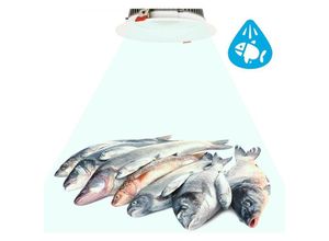 8435427110711 - Barcelona Led - Einbaustrahler led 30W Spezial für Fischgeschäft ø 210 mm Schnitt ø 210 mm