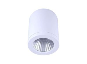 8435427121960 - Barcelona Led - cct mini gess Deckenleuchte cob 15W IP54 Farbe Weiß - Weiß