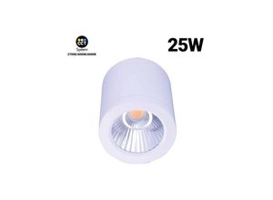 8435427122004 - CCT GESS Deckenleuchte COB 25W IP54 Farbe Weiß - Weiß