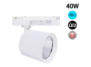 8435427131198 - - led 1-Phase-Schienenstrahler 40W - Fisch und Meeresfrüchte