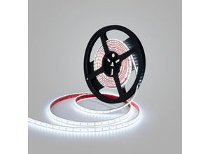 8435427155453 - Barcelona Led - led Streifen wasserdicht 24V Einfarbig 96W m IP68 5 Meter