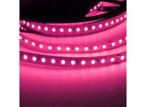 8435427159383 - Barcelona Led - Farbige LED-Streifen 24V-DC 90W einfarbig IP20 Rolle 5 Meter Lichtfarbe Rosa - Rosa