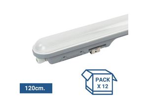 8435427163861 - Barcelona Led - Pack x 12 - verknüpfbare led Feuchtraumleuchte 36W - 120cm - - Kaltweiß