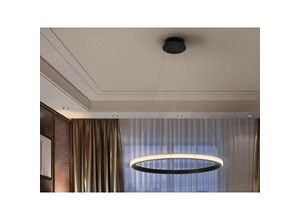 8435435330323 - Schuller Lighting - Schuller Ring - Integrierte LED-Pendelleuchte schwarz sandgestrahlt