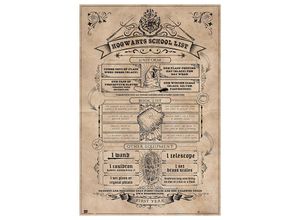 8435497204013 - Maxi Posters - Poster harry potter hogwarts schule liste