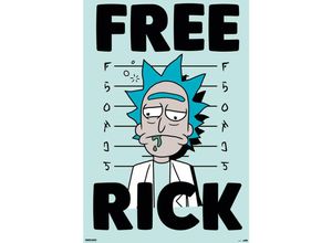 8435497215101 - Grupo Erik - Rick and Morty Poster Free Rick