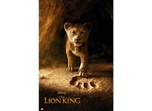 8435497227302 - Grupo Erik - Poster disney el rey Löwe simba real action