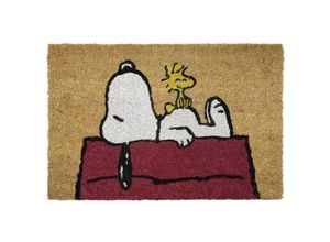 8435497228224 - Grupo Erik - Peanuts Fußmatte Snoopy und Woodstock braun aus Kokosfaser Unterseite aus pvc