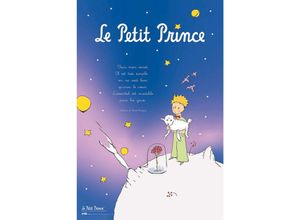 8435497248161 - Grupo Erik - Le Petit Prince Poster Der kleine Prinz