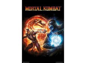 8435497262426 - Grupo Erik - Mortal Kombat 9 Poster Ninjas & Dragon