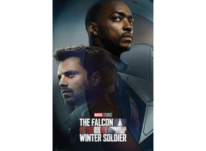 8435497262457 - Grupo Erik - The Falcon And The Winter Soldier Poster