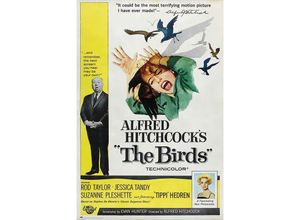 8435497265892 - Grupo Erik - The Birds Poster a Hitchcock Die Vögel