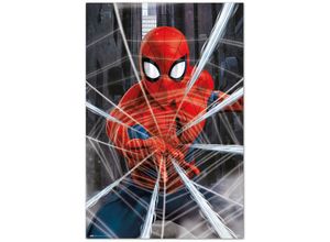 8435497277338 - Mm_unverified_brand - Poster marvel spider-man gotcha