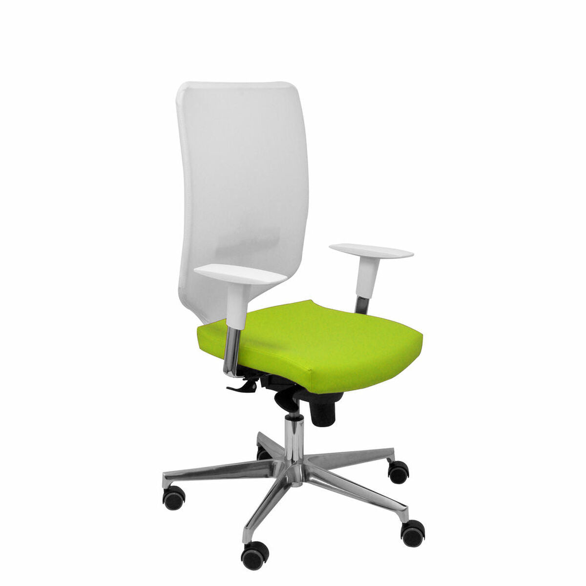 8435501008156 - Office Chair OSSA BL P & C 6SBSP22 Pistazie