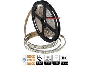 8435523810737 - Jandei - 12V 4200K 120 led pira SMD3528 Doppel -Leiterplatte 5m