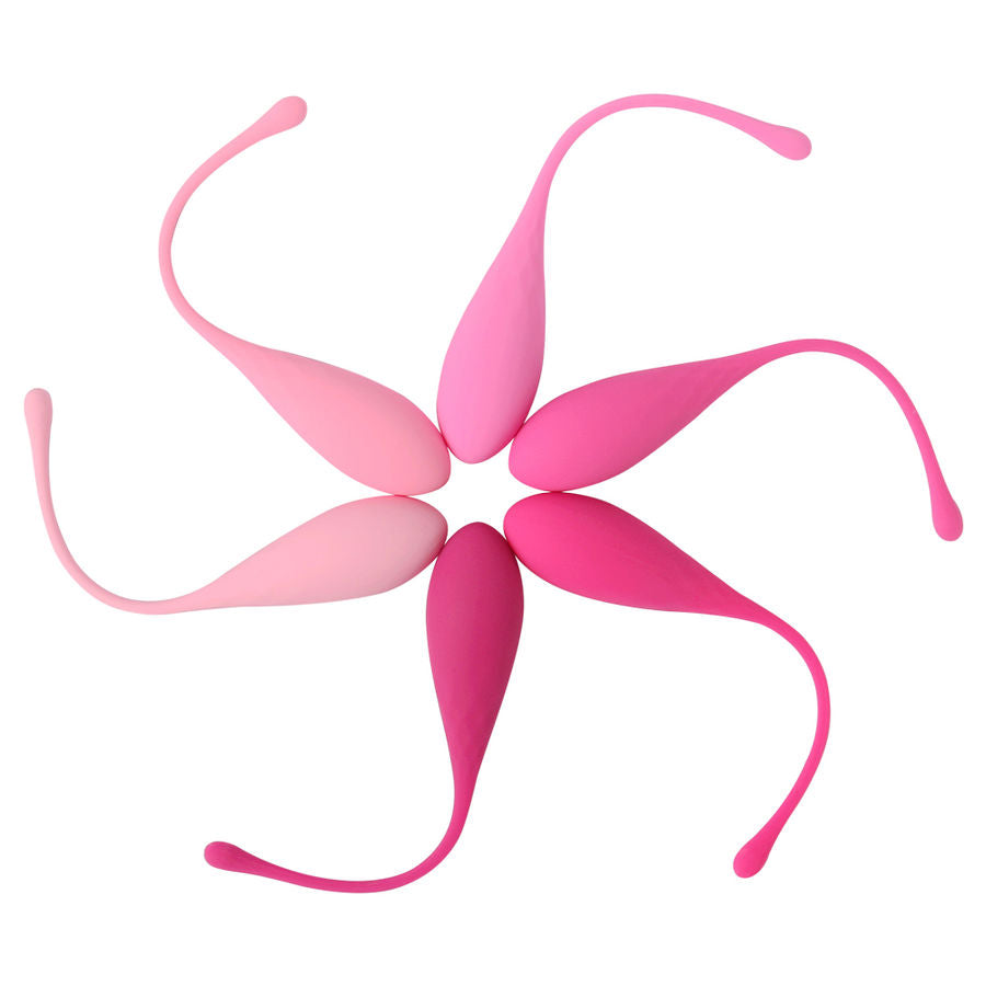 8435565900502 - - KEGEL FIT PELVIC MUSCLE TRAINING SET 6 STÜCKE