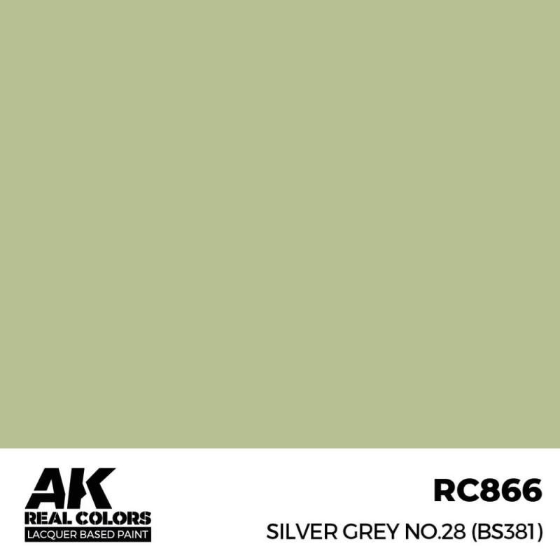 8435568336193 - Silver Grey No28 (BS381) - 17 ml