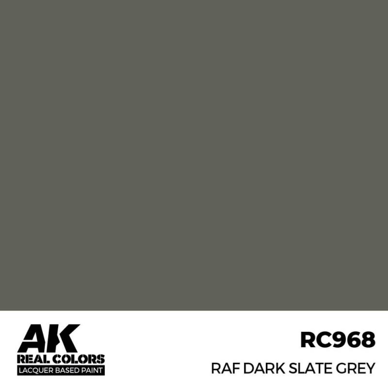 8435568337213 - RAF Dark Slate Grey - 17 ml