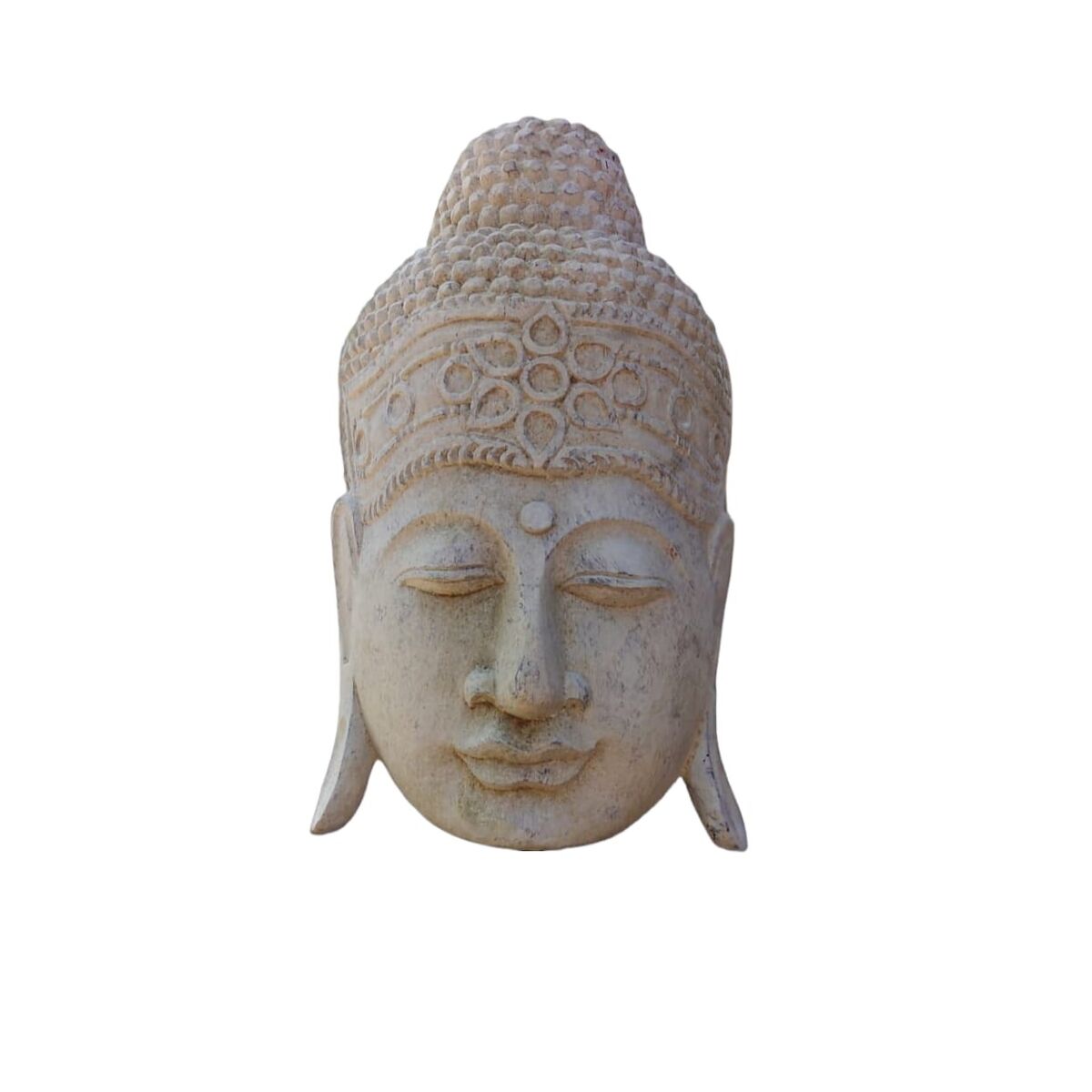 8435700829637 - Büste Beige Holz Buddha