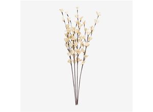 8435719361135 - Sklum - 4er Set mit dekorativen getrockneten Zweigen Iliyan Natürliche Farben