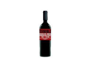 8436552980316 - Vinos Terribles Terrible Roble 2021 - 75cl