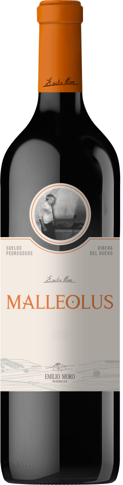 8436557310927 - Emilio Moro »Malleolus«