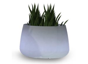 8436558745698 - Newgarden LED-Solar-Pflanzkübel Camelia Ø 59 cm weiß
