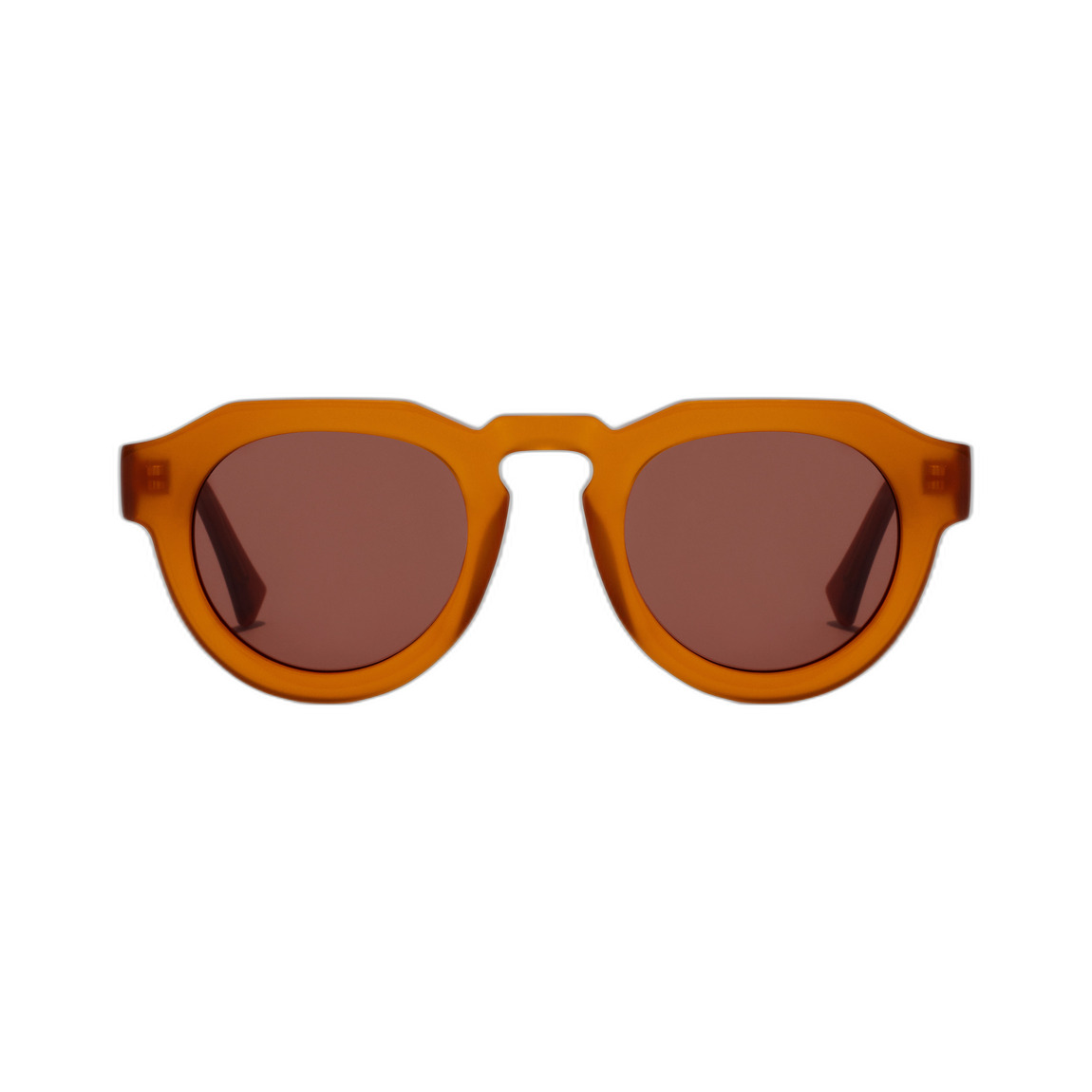 8436579116125 - Sonnenbrille Warwick Uptown