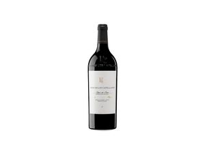 8436582050720 - Pago de los Capellanes Reserva Magnum 2019 -