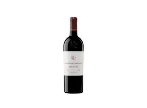 8436582050874 - Pago de los Capellanes Crianza Magnum 2021 -