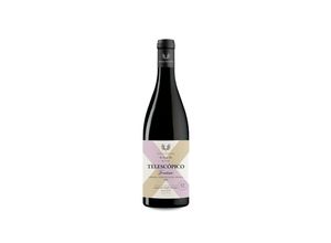 8436598730432 - Bodegas Frontonio Frontonio Telescópico Garnacha 2020 - 75cl