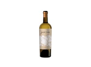 8437001025084 - Javier Sanz Sauvignon Blanc 2022 - 75cl