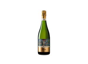 8437001132522 - Mestres Clos Damiana Brut Nature Gran Reserva 2009 - 75cl