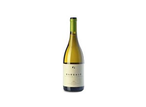 8437001273188 - Gargalo Treixadura Albariño 2021 - 75cl