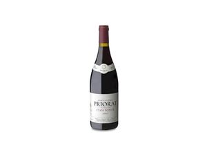 8437001778133 - Mas den Gil Clos Fontà 2017 - 75cl