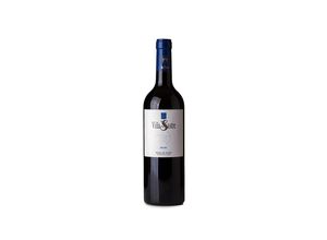 8437002604028 - Hermanos Sastre Viña Sastre Roble 2021 - 75cl