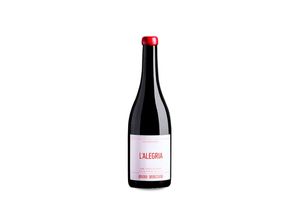 8437002716523 - Bruno Murciano L’Alegria Bobal Cepas Viejas Arcilla 2021 - 75cl