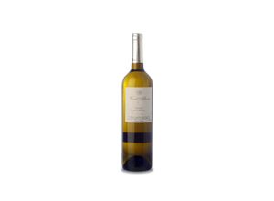 8437003417108 - Martí Fabra Verd Albera Blanc 2022 - 75cl