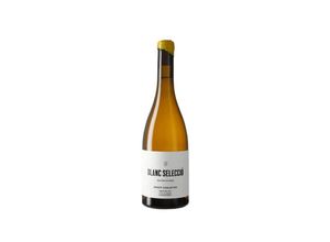 8437003491108 - Josep Foraster Blanc Selecció 2022 - 75cl