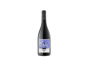 8437003662638 - Celler U Mes U Anais Negre 2021 - 75cl