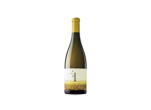 8437004482099 - Ca NEstruc Lequilibrista Blanc Magnum 2020 -