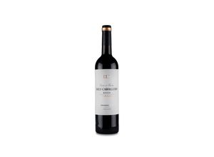 8437004757104 - Diez-Caballero Crianza 2019 - 75cl